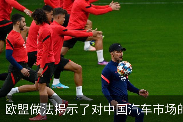 欧盟做法揭示了对中国汽车市场的误判